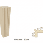 Coloană 1