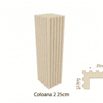 Coloană 2