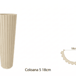 Coloană 5