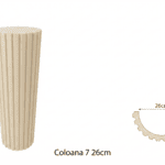 Coloană 7